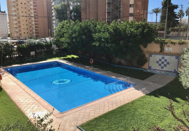 Apartamento en Benidorm - ACACIAS CORNER VIEWS N111