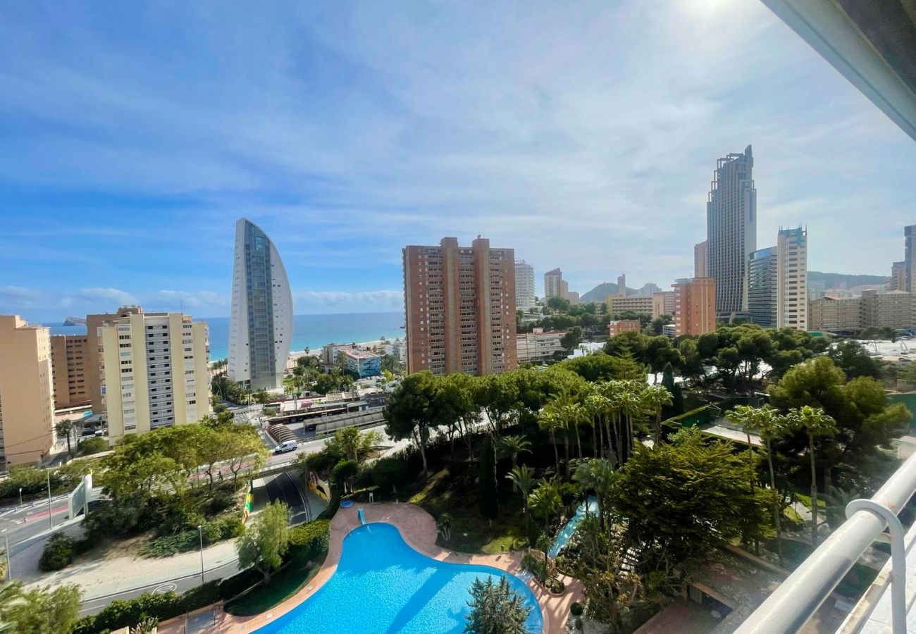 Apartamento en Benidorm - COBLANCA DREAM PONIENTE N149