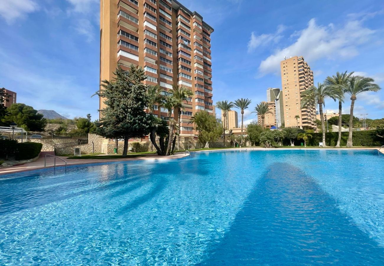 Apartamento en Benidorm - COBLANCA DREAM PONIENTE N149