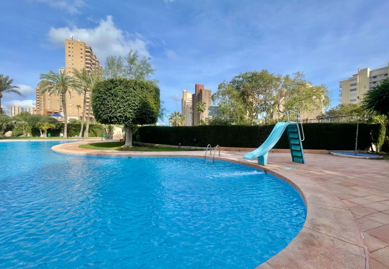 Apartamento en Benidorm - COBLANCA DREAM PONIENTE N149