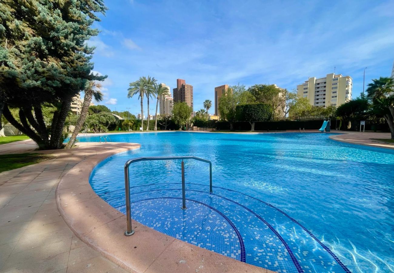 Apartamento en Benidorm - COBLANCA DREAM PONIENTE N149