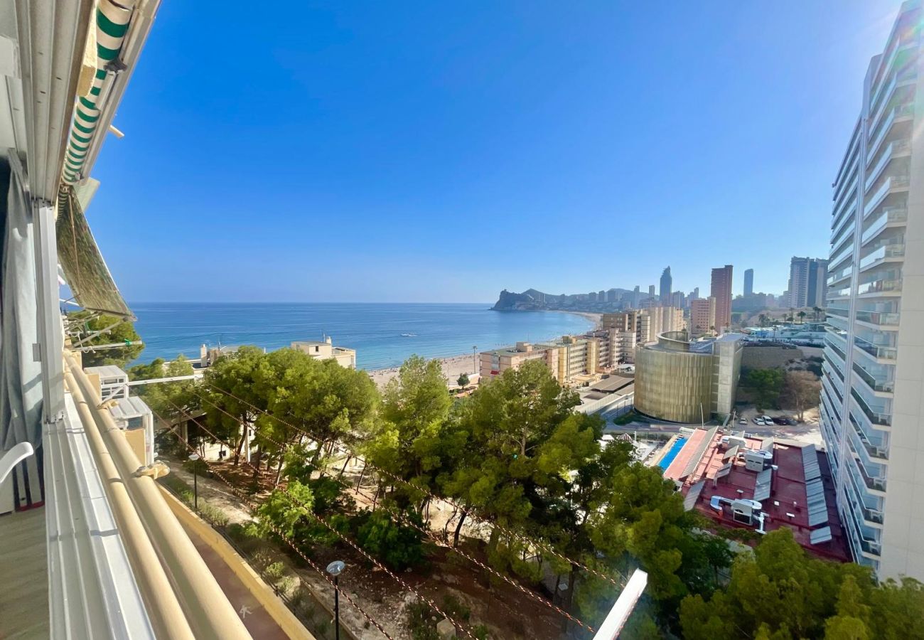 Apartamento en Benidorm - PINTOR SOROLLA PONIENTE BEACH N160