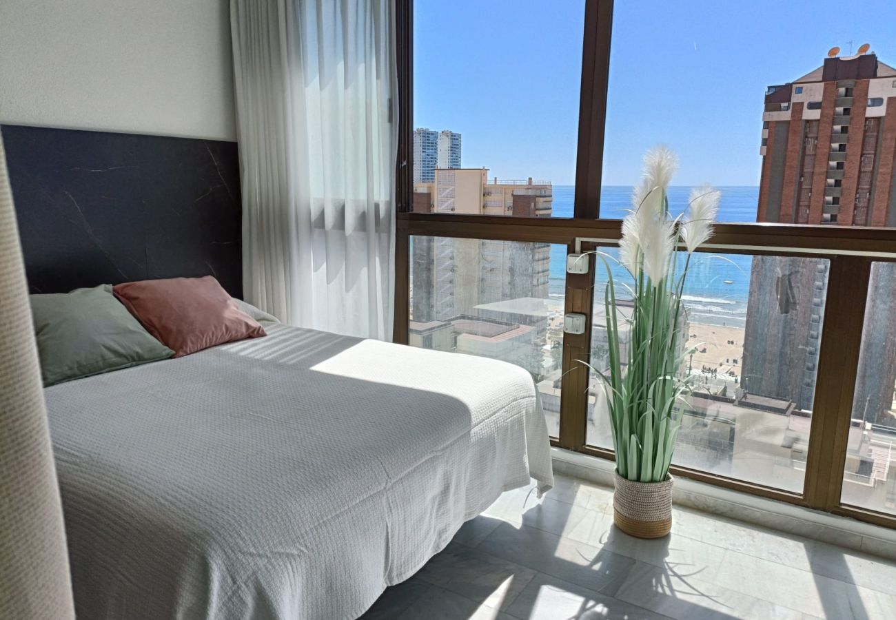 Apartamento en Benidorm - MEDITERRANEO 43 BENIDORM LEVANTE BEACH (N165)