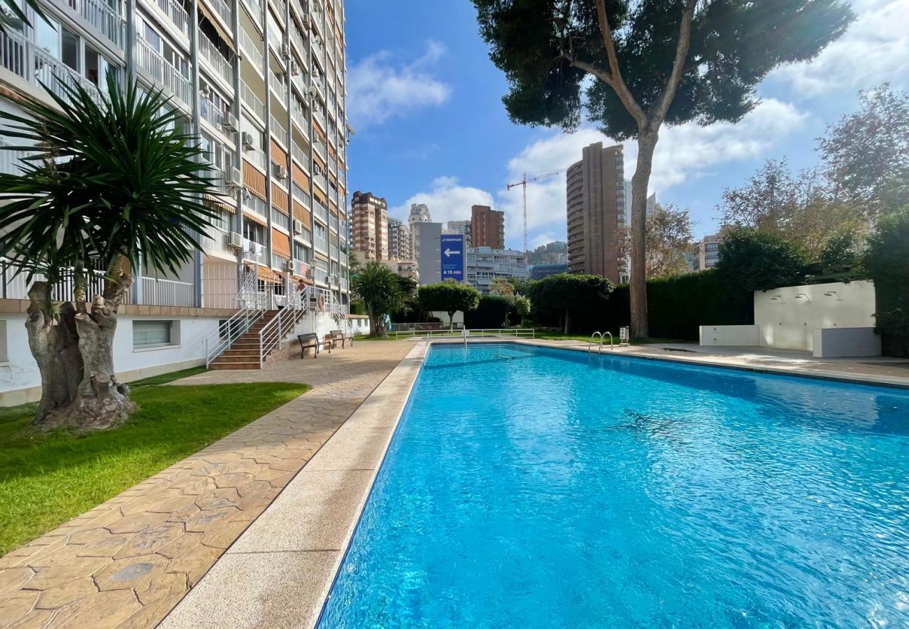 Apartamento en Benidorm - ALBATROS RINCON DREAM (N179)