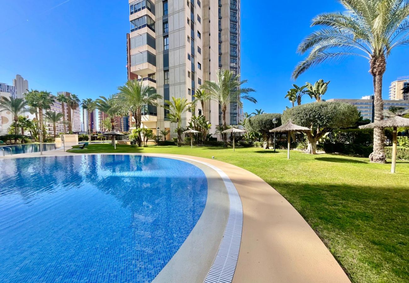 Apartamento en Benidorm -  GEMELOS 26 LOW FLOOR LEVANTE A134