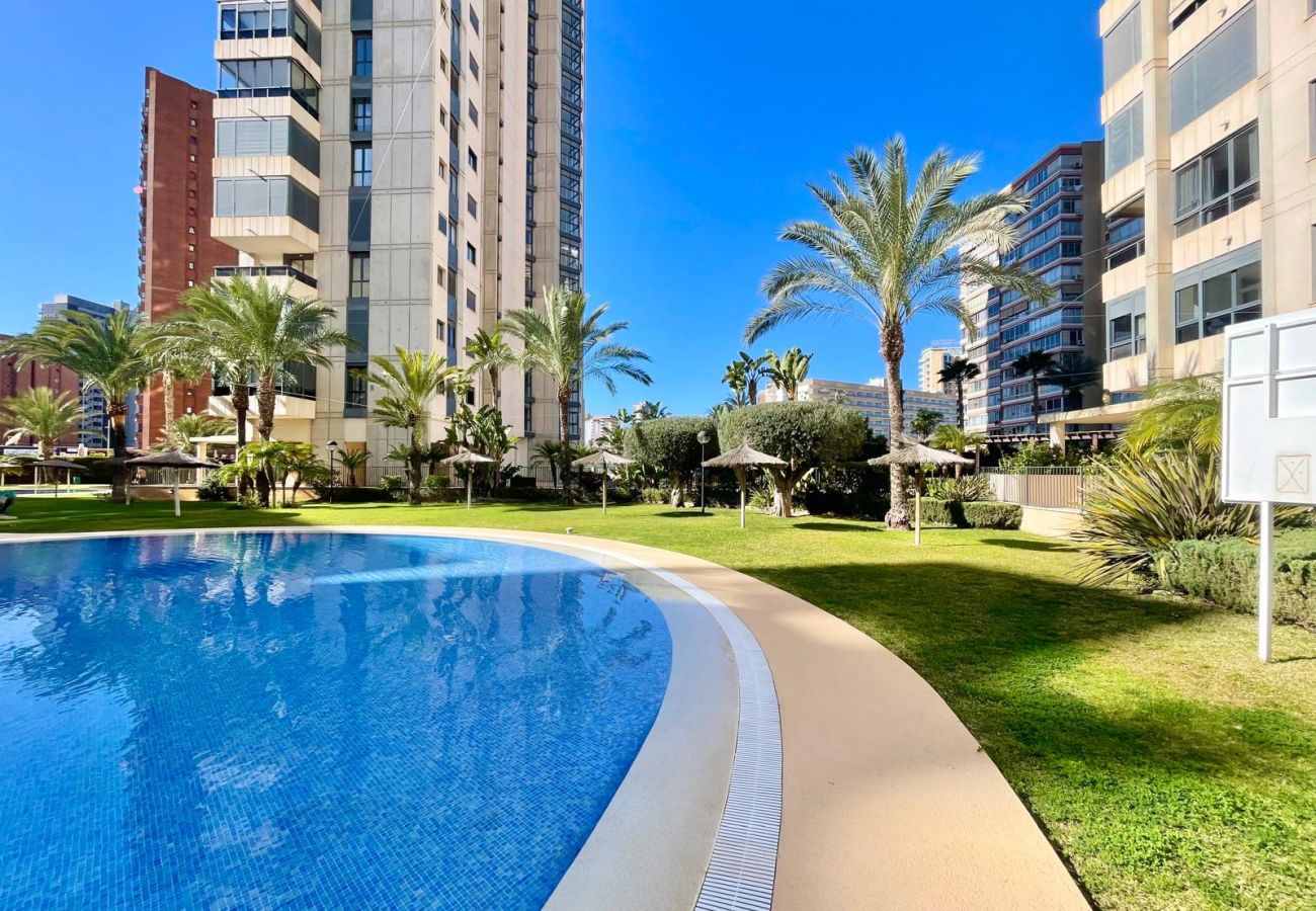 Apartamento en Benidorm -  GEMELOS 26 LOW FLOOR LEVANTE A134