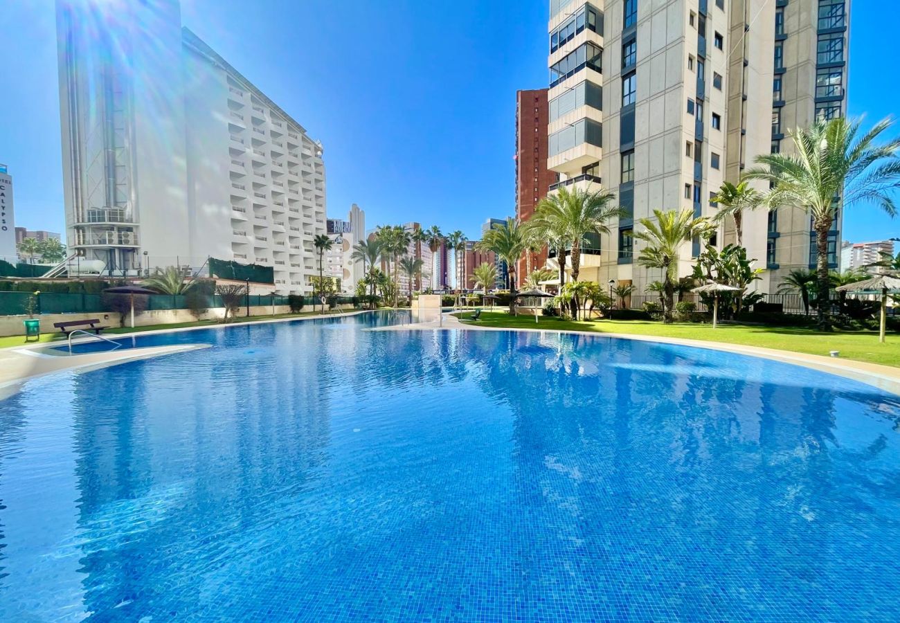 Apartamento en Benidorm -  GEMELOS 26 LOW FLOOR LEVANTE A134