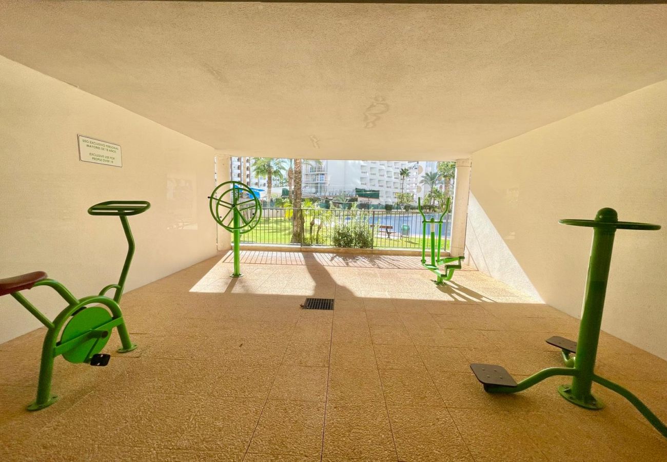 Apartamento en Benidorm -  GEMELOS 26 LOW FLOOR LEVANTE A134