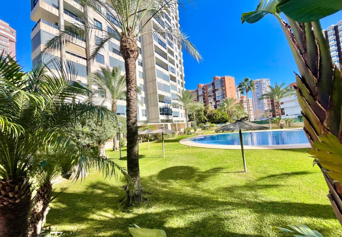 Apartamento en Benidorm -  GEMELOS 26 LOW FLOOR LEVANTE A134