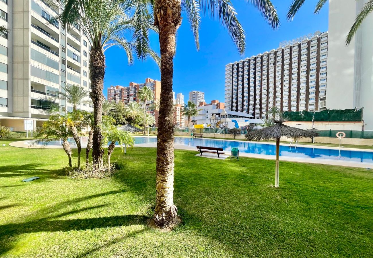 Apartamento en Benidorm -  GEMELOS 26 LOW FLOOR LEVANTE A134