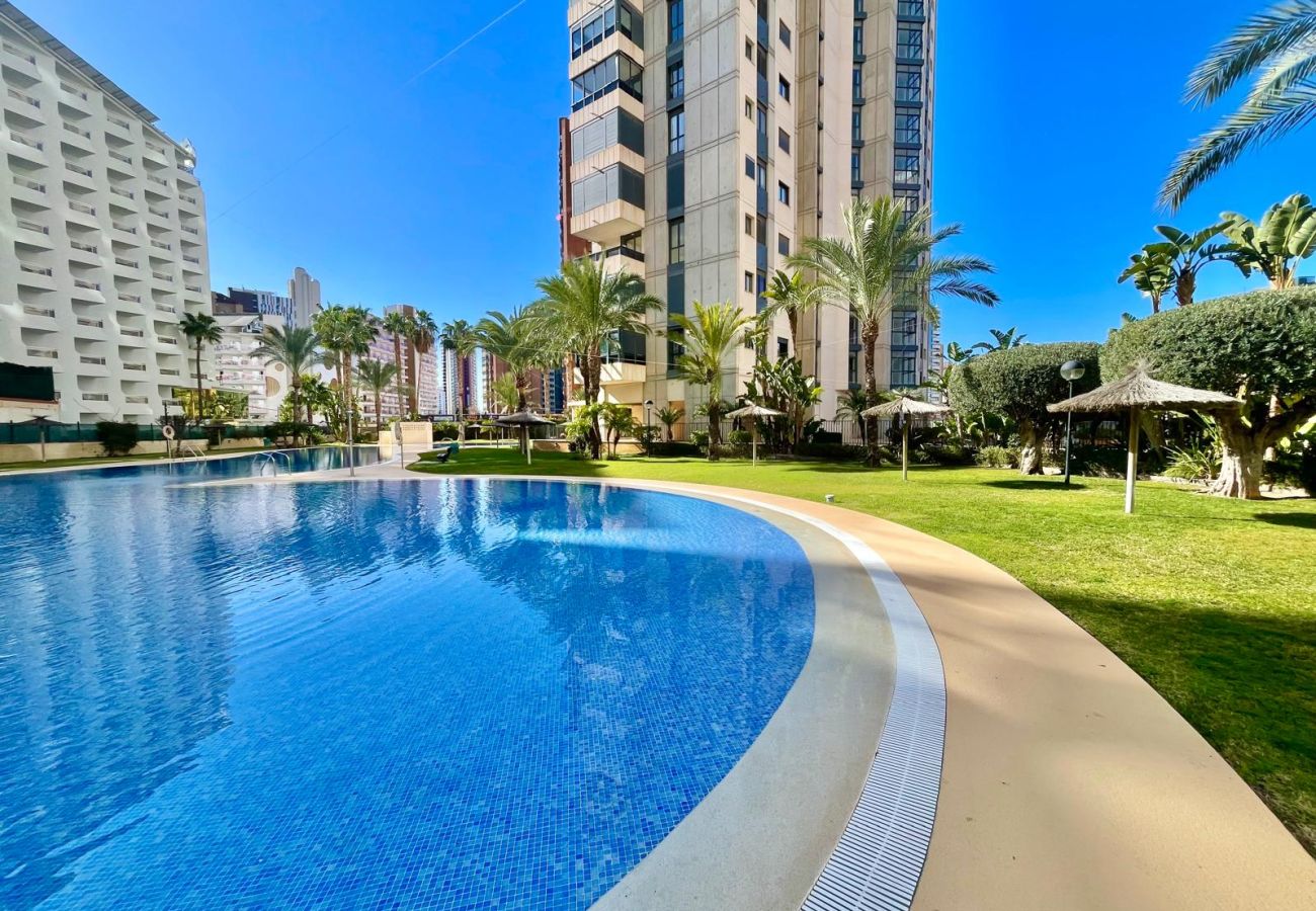 Apartamento en Benidorm -  GEMELOS 26 LOW FLOOR LEVANTE A134