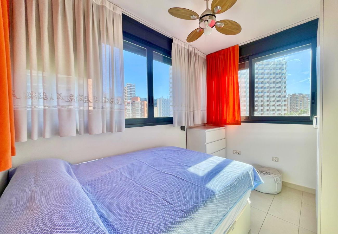 Apartamento en Benidorm -  GEMELOS 26 POOL LEVANTE A135