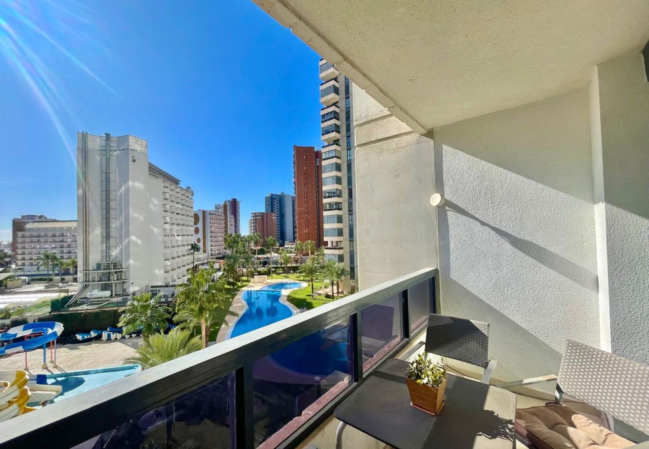 Apartamento en Benidorm -  GEMELOS 26 POOL LEVANTE A135