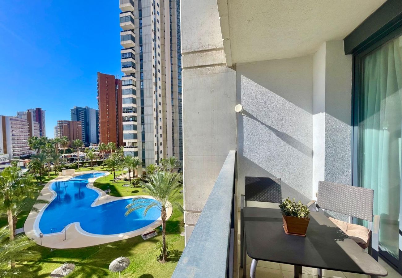 Apartamento en Benidorm -  GEMELOS 26 POOL LEVANTE A135