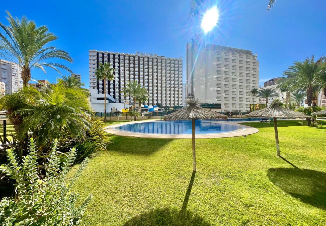 Apartamento en Benidorm -  GEMELOS 26 POOL LEVANTE A135