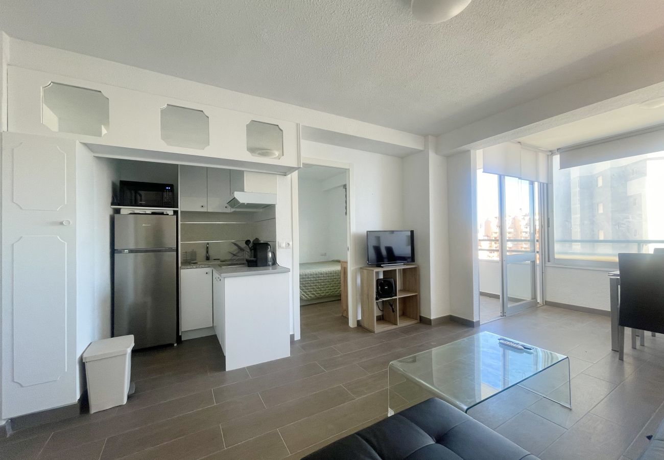 Apartment in Benidorm - PINTOR SOLANA PONIENTE BEACH N116