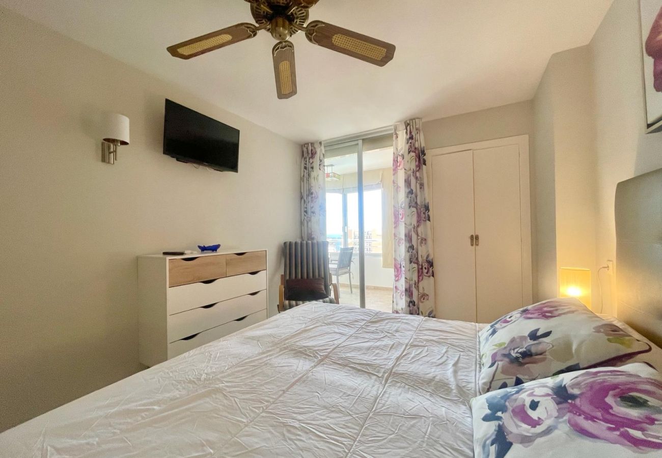 Apartment in Benidorm - COBLANCA DREAM PONIENTE N149