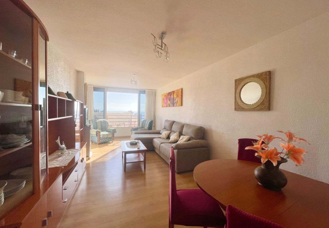 Apartment in Benidorm - SEDAVI SUN LEVANTE (N181)