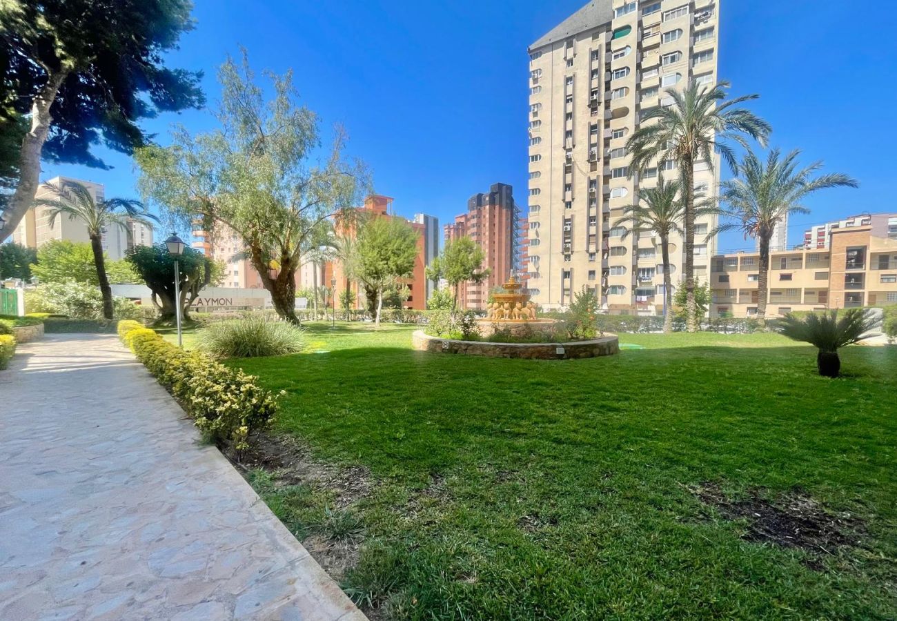 Studio à Benidorm - PENTHOUSE STUDIO PLAYMON PARK N143