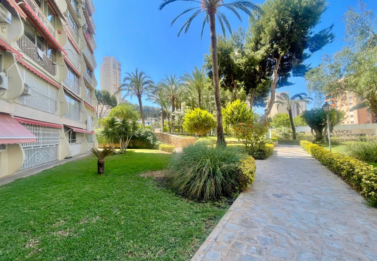 Studio à Benidorm - PENTHOUSE STUDIO PLAYMON PARK N143