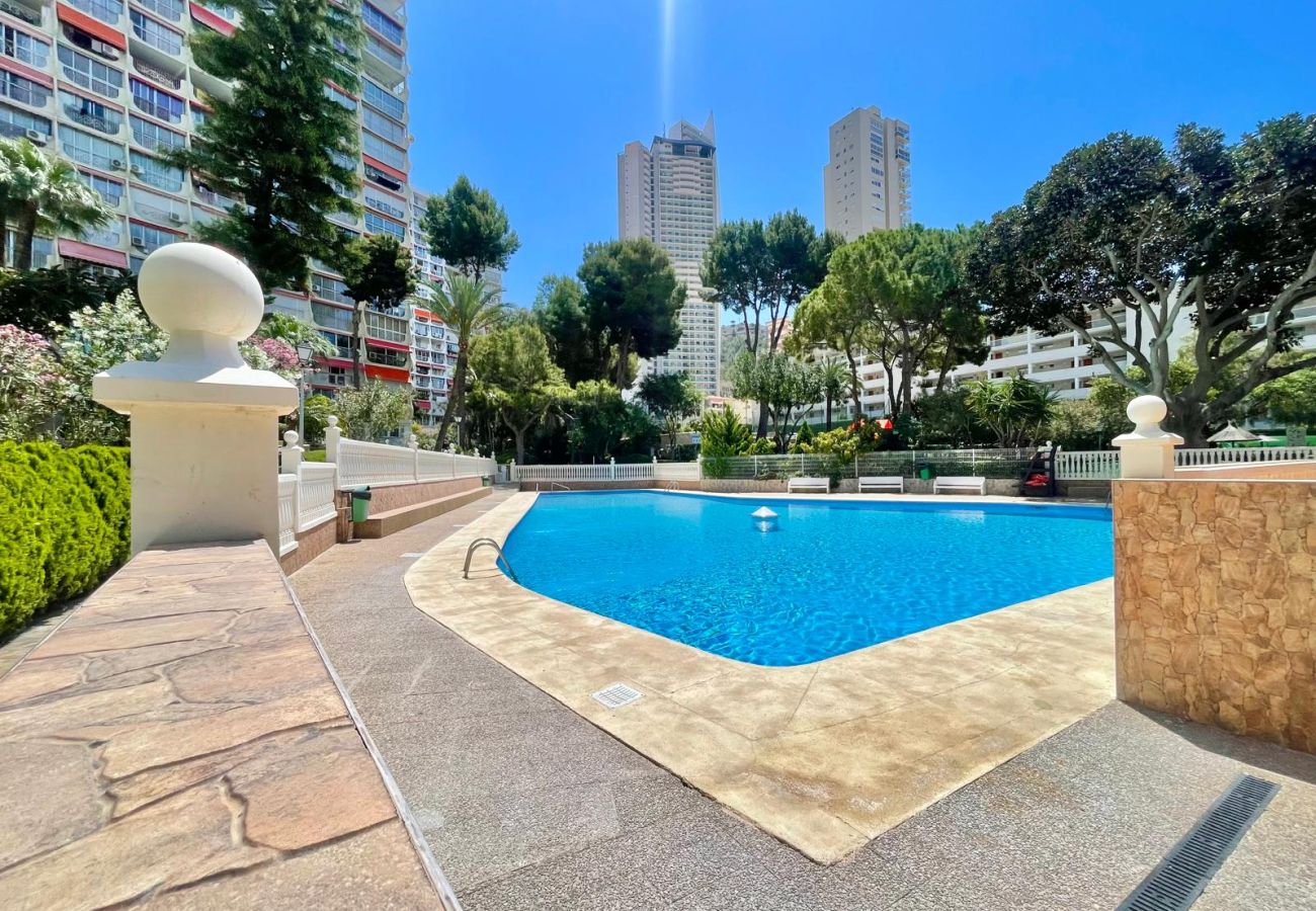 Studio à Benidorm - PENTHOUSE STUDIO PLAYMON PARK N143