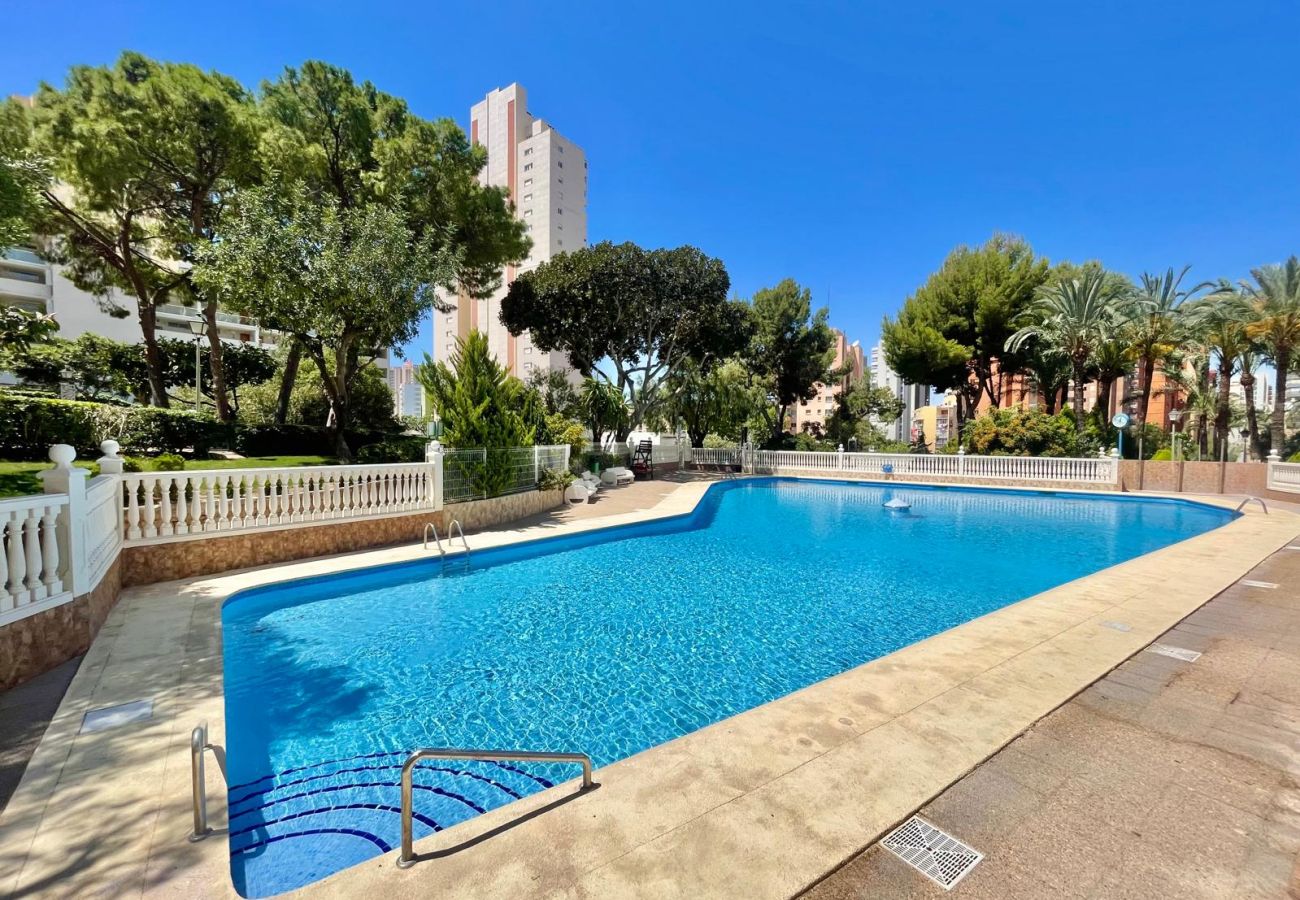 Studio à Benidorm - PENTHOUSE STUDIO PLAYMON PARK N143